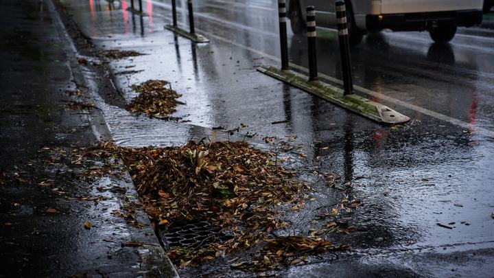 Sumidero de calle cubierto de hojas un día de lluvia